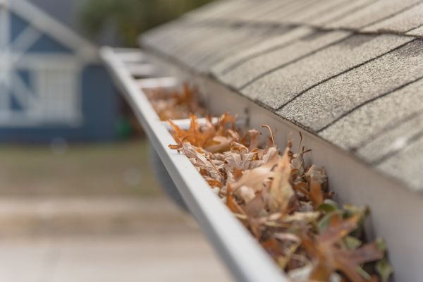 Leaf Barrier Installation in Suwanee